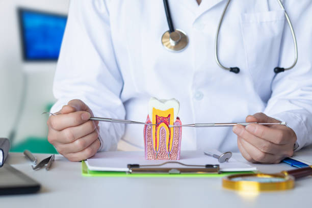 Best Emergency Dental Care for Trauma or Injury in Como, MS